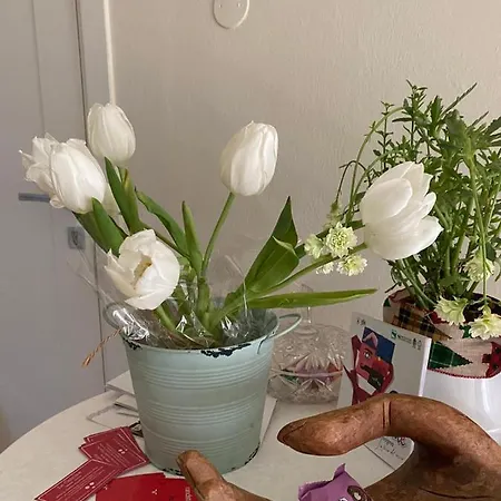 Casa Bileza Frühstückspension *
